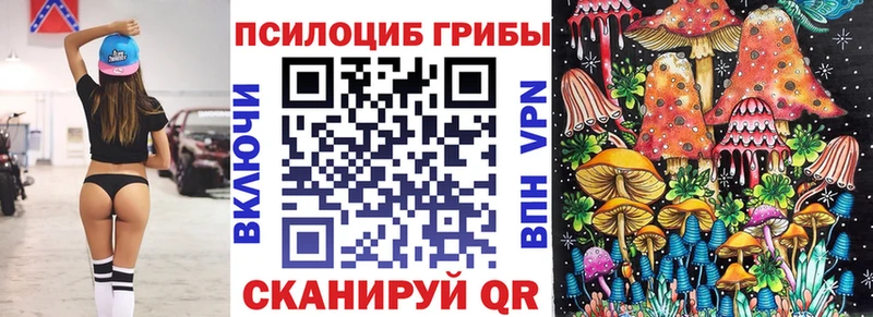 что такое   Заводоуковск  Галлюциногенные грибы Psilocybe 